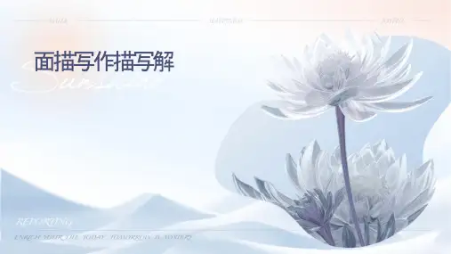 场面描写动作描写全解课件
