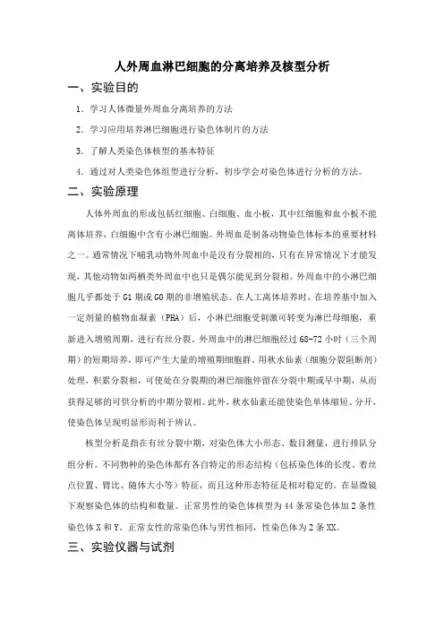 核型分析