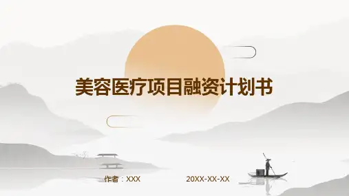 美容医疗项目融资计划书