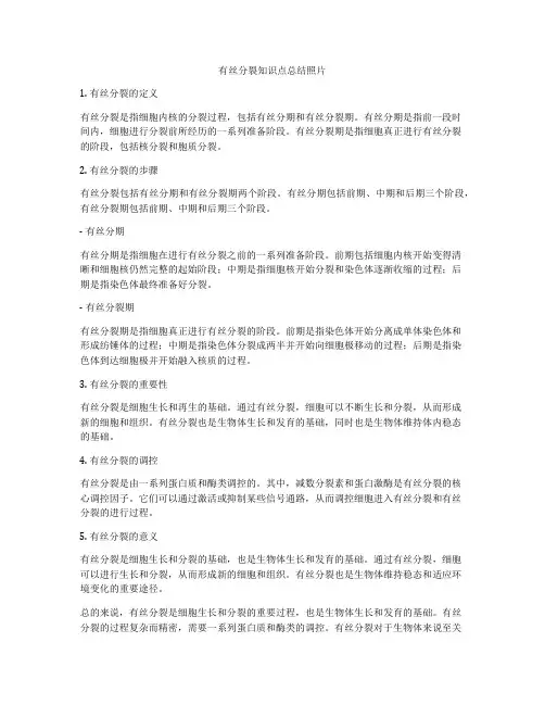 有丝分裂知识点总结照片
