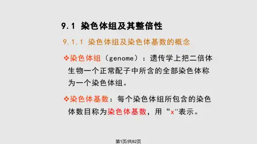 染色体数目变异PPT课件