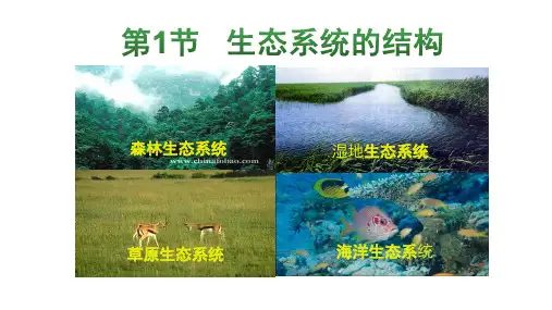 3-1生态系统的结构-高二上学期生物人教版选择性必修2