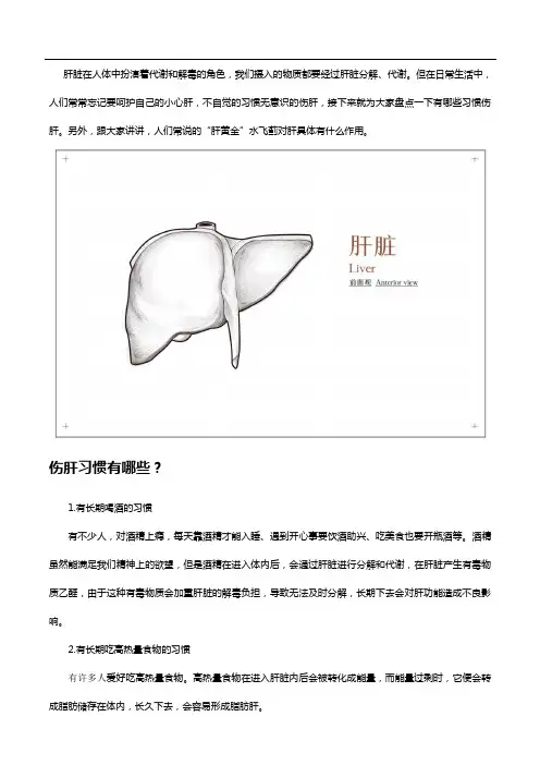 小心肝变“小心”肝,护肝得看水飞蓟
