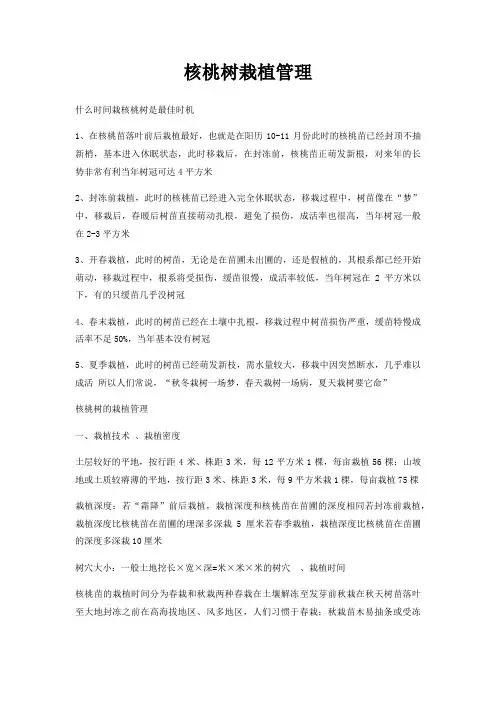 核桃树栽植管理