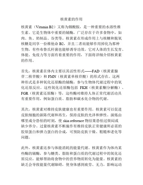 核黄素的作用