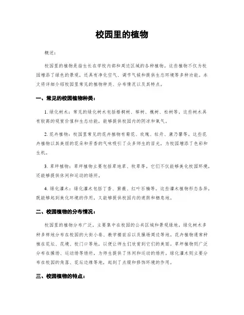 校园里的植物
