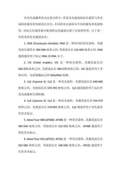 常见荧光通道命名