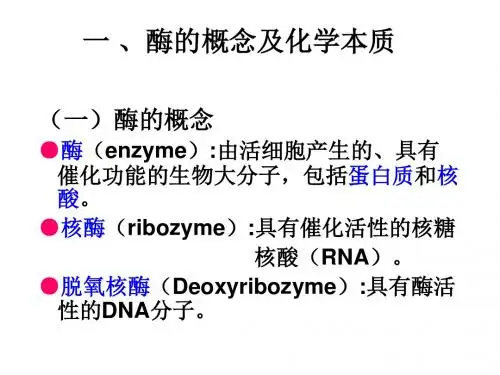 生物化学第三章  酶