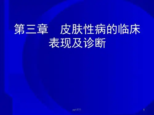 皮肤性病的临床表现及诊断  ppt课件