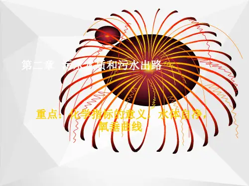 污水水质和污水出路ppt