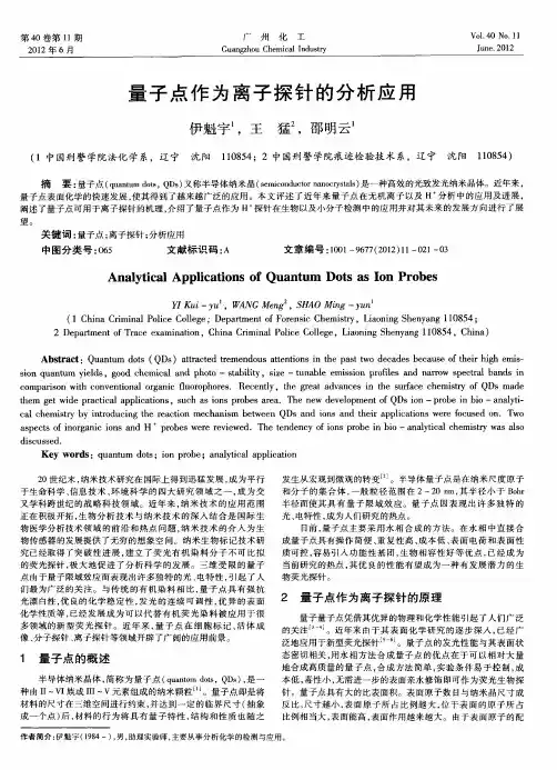 量子点作为离子探针的分析应用