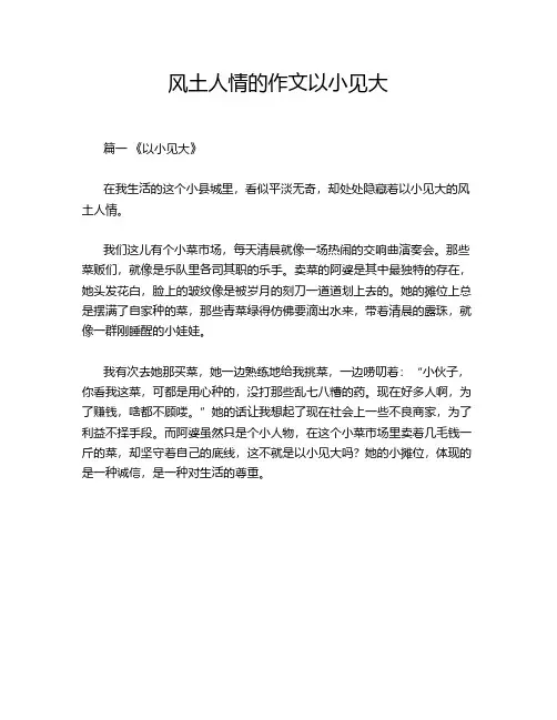 风土人情的作文以小见大