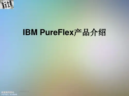 IBM PureFlex产品介绍