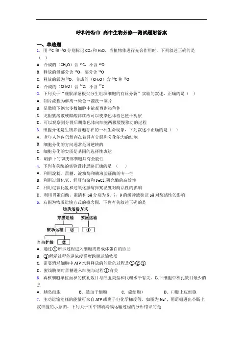 呼和浩特市 高中生物必修一测试题附答案