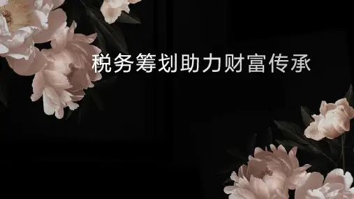 课件-家族财富传承与税务筹划
