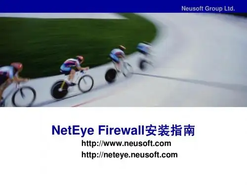 东软防火墙 NetEye FW 安装