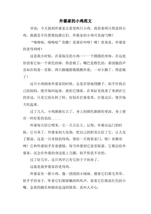 外婆家的小鸡范文
