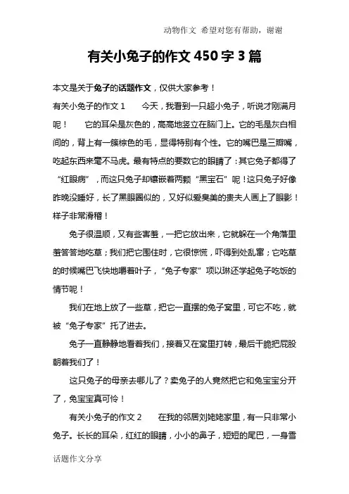 有关小兔子的作文450字3篇