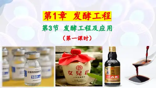 发酵工程及其运用(第一课时)高二生物课件(人教版2019选择性必修3)