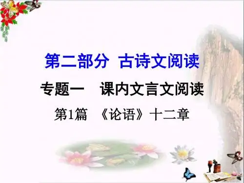 中考语文复习第二部分：古诗文阅读 PPT课件 (31份)10