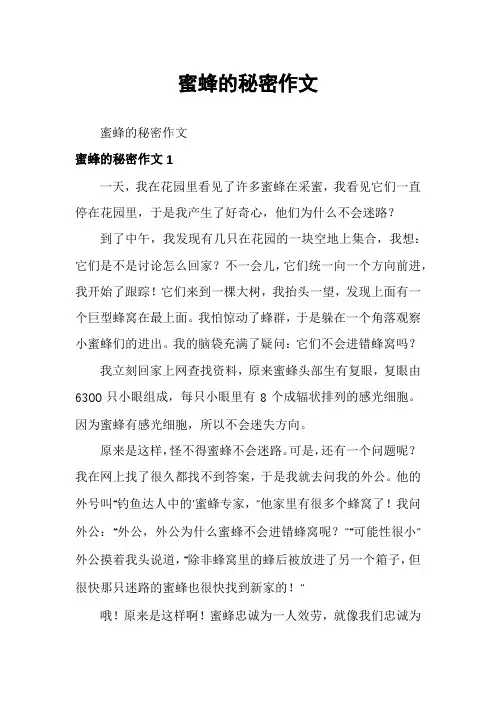 蜜蜂的秘密作文