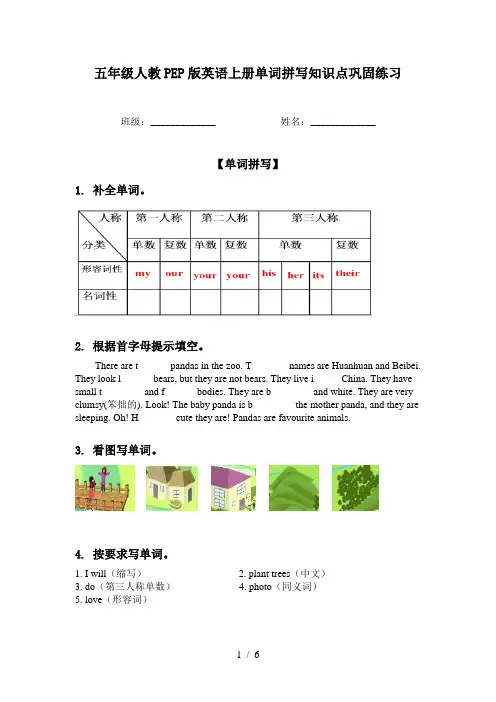 五年级人教PEP版英语上册单词拼写知识点巩固练习