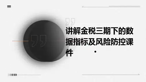 讲解金税三期下的数据指标及风险防控课件