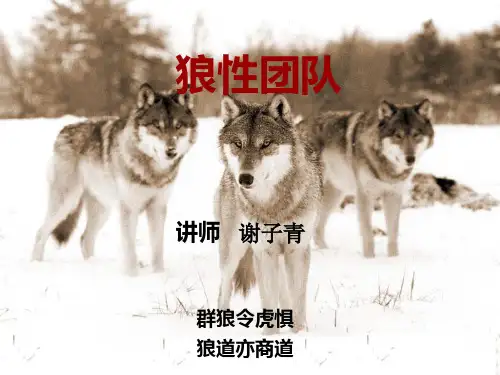 狼性团队培训讲义