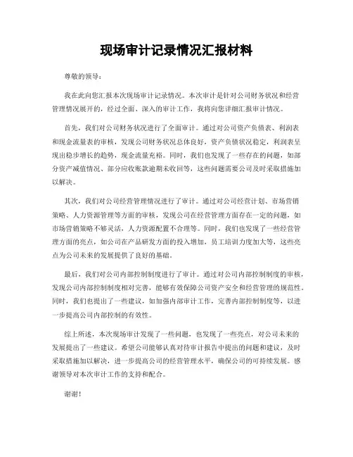 现场审计记录情况汇报材料