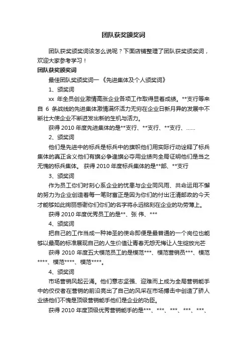 团队获奖颁奖词