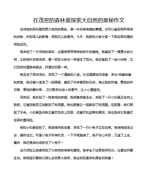 在茂密的森林里探索大自然的奥秘作文
