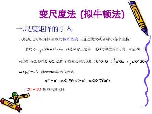 变尺度法