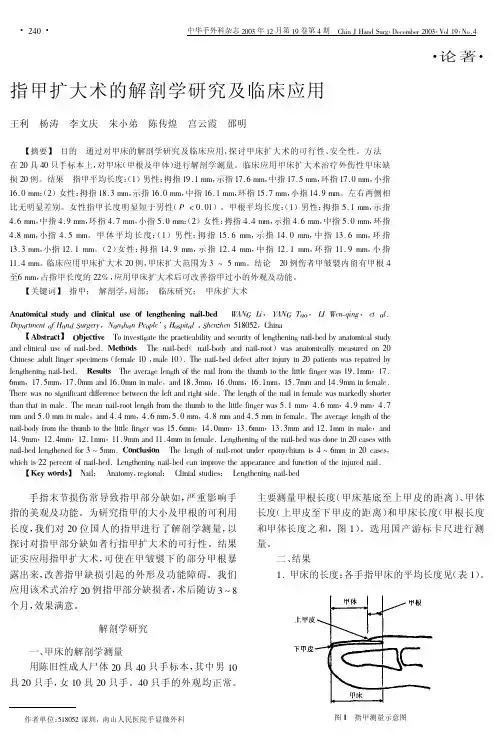 指甲扩大术的解剖学研究及临床应用