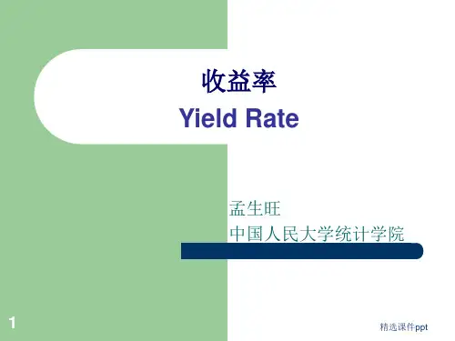 《金融数学》ppt课件(4)收益率