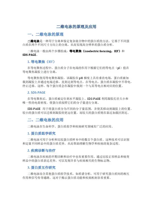 二维电泳的原理及应用