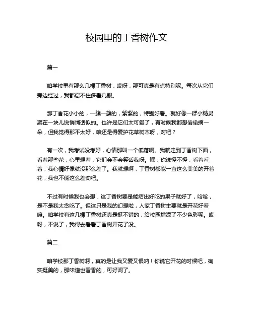 校园里的丁香树作文