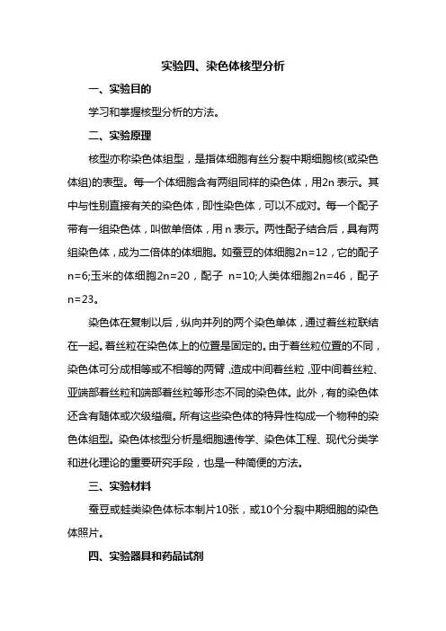 实验四染色体核型分析