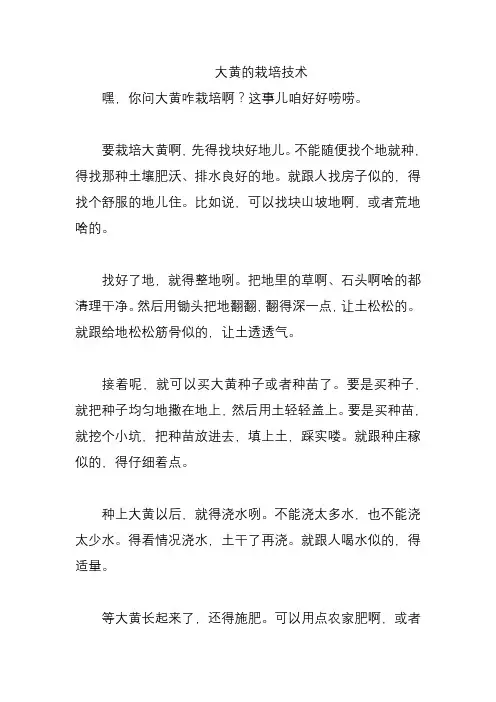 大黄的栽培技术