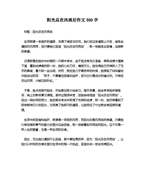 阳光总在风雨后作文500字