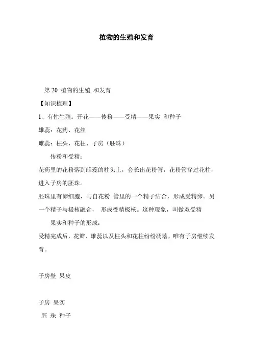 植物的生殖和发育