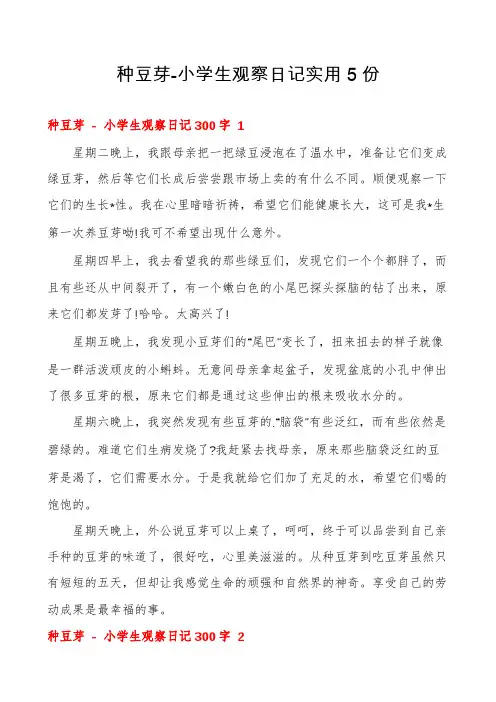 种豆芽-小学生观察日记实用5份
