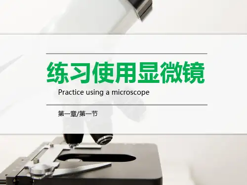 七年级生物使用显微镜课件