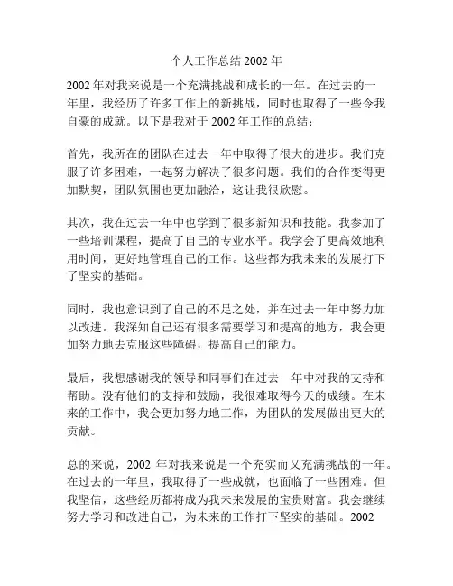 个人工作总结2002年