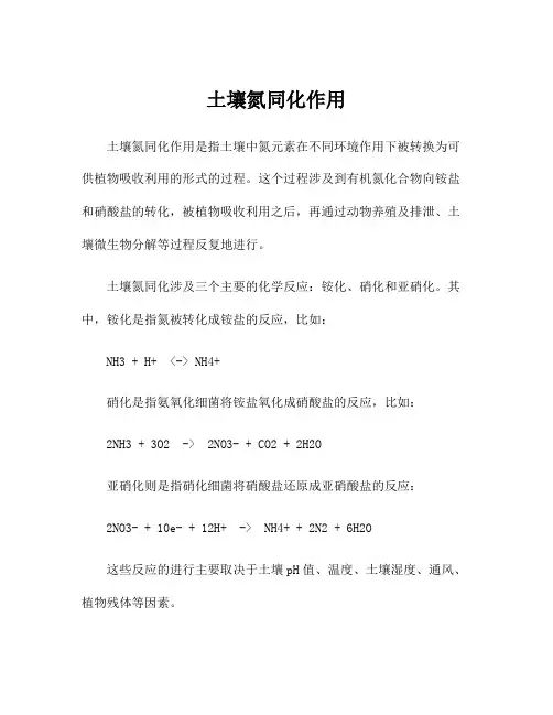 土壤氮同化作用