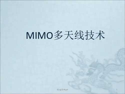 MIMO技术ppt课件