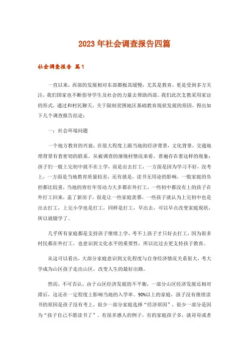 2023年社会调查报告四篇_4
