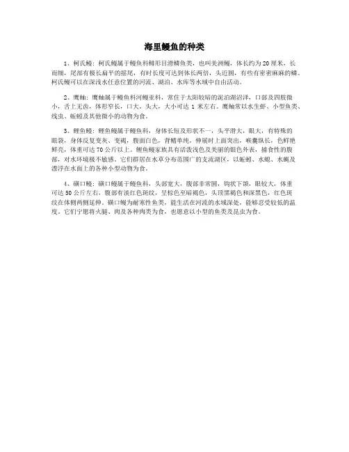 海里鳗鱼的种类