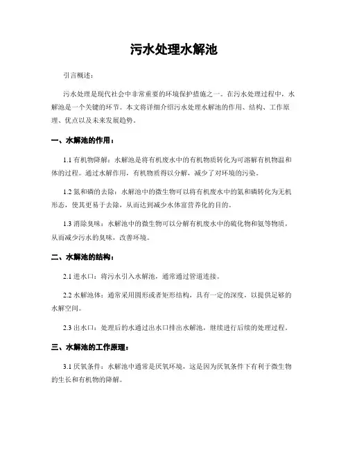 污水处理水解池
