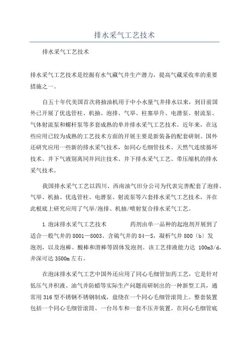 排水采气工艺技术