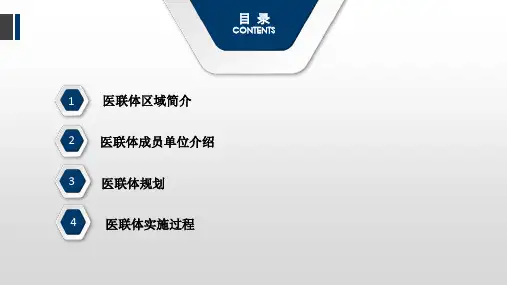 医联体工作报告PPT33页